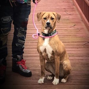 Meet your Posher, Bryan